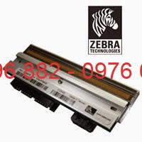 Dau In Zebra Binh Duong Dau In Zebra Binh Duong